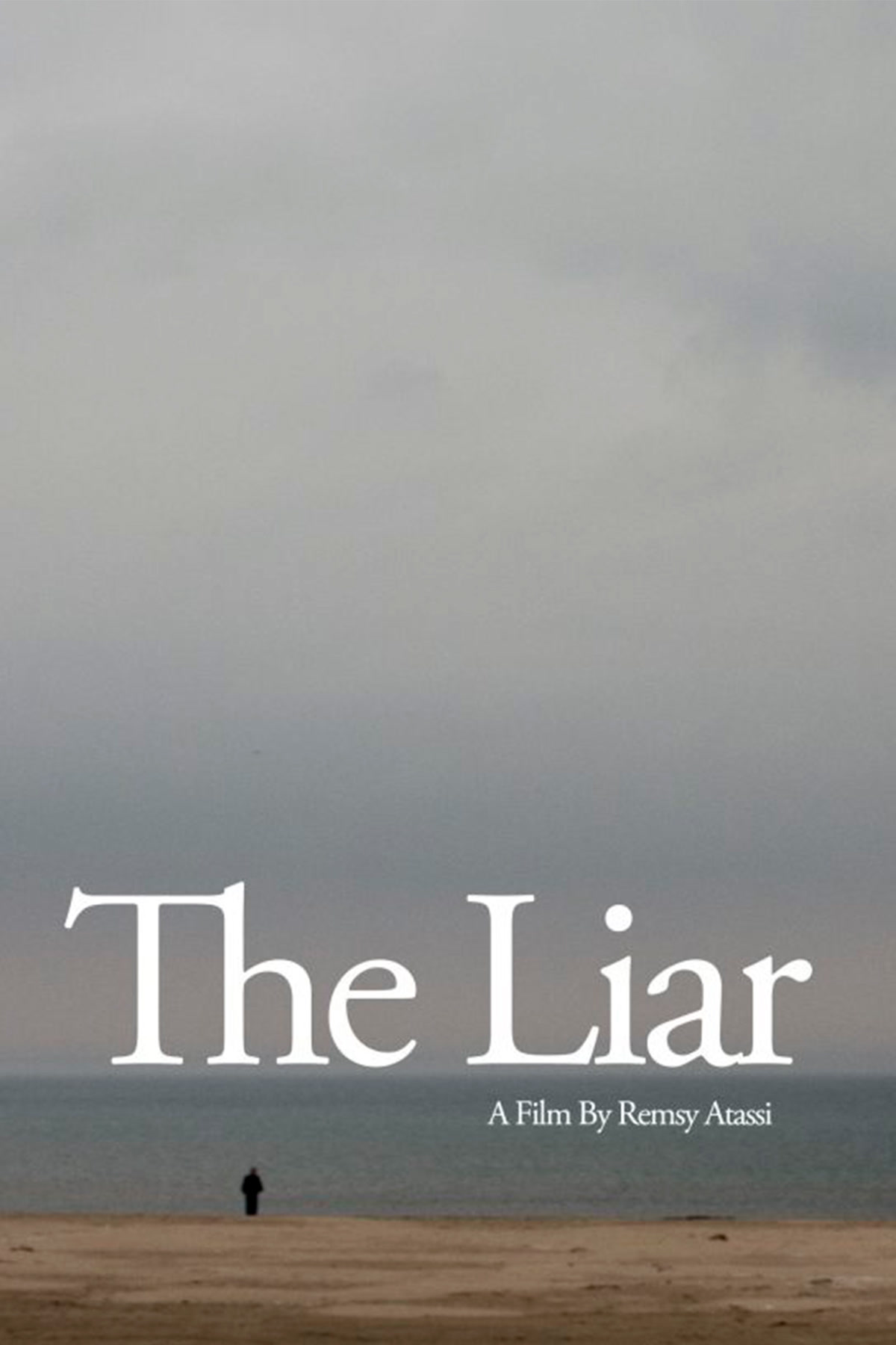 The Liar